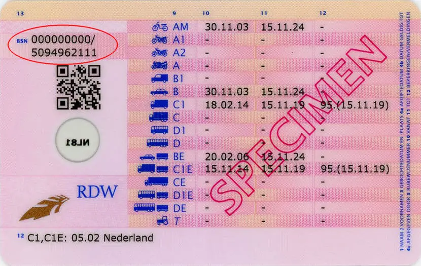 Back of Dutch driver's licence
